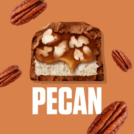 SNICKERS PECAN Singles Size Chocolate Candy Bars, 1.41 oz