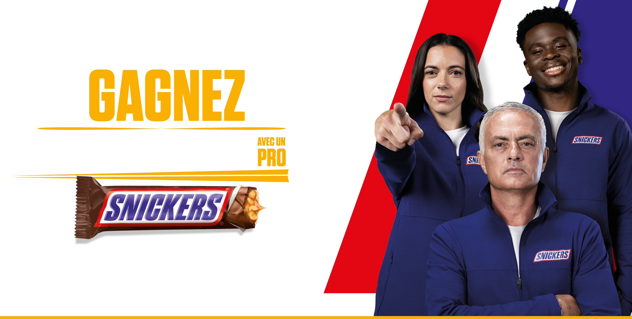 banner image