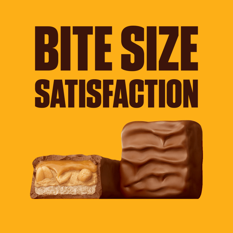 SNICKERS Peanut Butter Share Size Candy Bar, 3.56oz